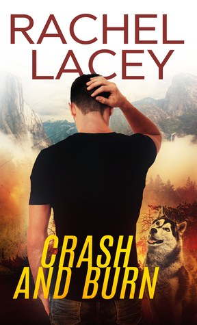 * Review * CRASH AND BURN by Rachel Lacey