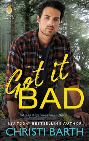 * Review * GOT IT BAD by Christi Barth