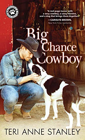 * Review * BIG CHANCE COWBOY by Teri Anne Stanley