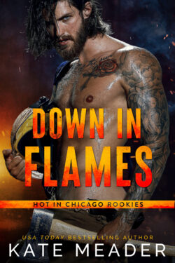 * Review * DOWN IN FLAMES by Kate Meader